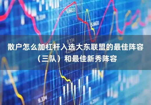 散户怎么加杠杆入选大东联盟的最佳阵容（三队）和最佳新秀阵容