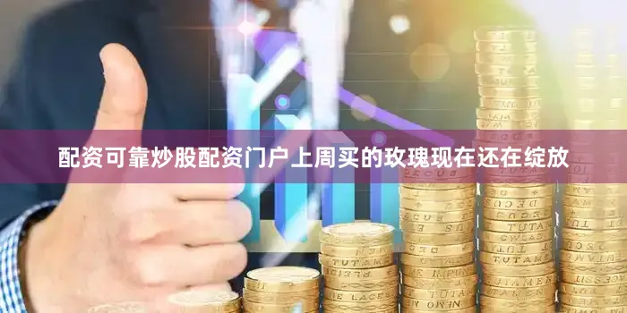 配资可靠炒股配资门户上周买的玫瑰现在还在绽放